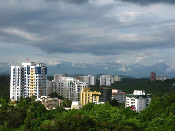 Floor prices could deter innovation say Indian advisory groups