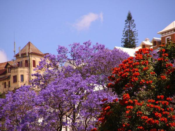 Madagascar’s mobile money operators slam transaction tax plan