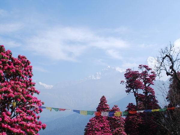 ZTE and Ncell Axiata strengthen collaboration on network virtualisation in Nepal