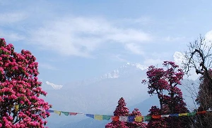 DataHub and Hosted AI plan AI cloud offering in Nepal