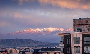 Veon sells off majority stake in Beeline Kyrgyzstan