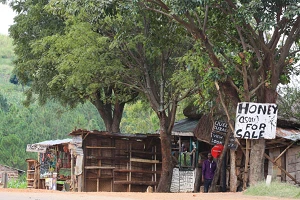 WHO uses AI to provide health risk information for DRC