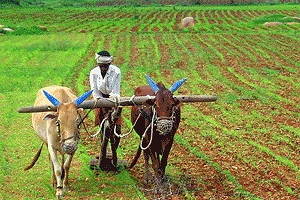 NEC-UNDP MoU positions AI as force for sustainability